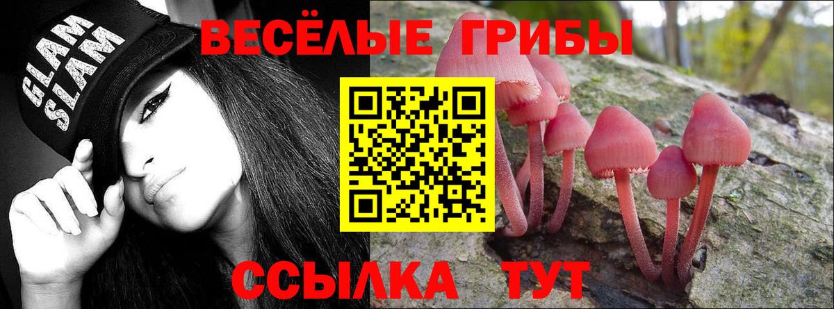 Троицк  Псилоцибиновые грибы GOLDEN TEACHER  Вход с VPN 