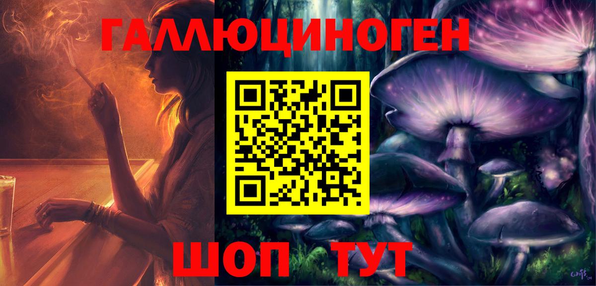 Галлюциногенные грибы Psilocybe Троицк